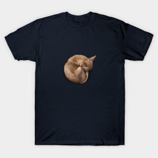 The Sleeping Chihuahua T-Shirt